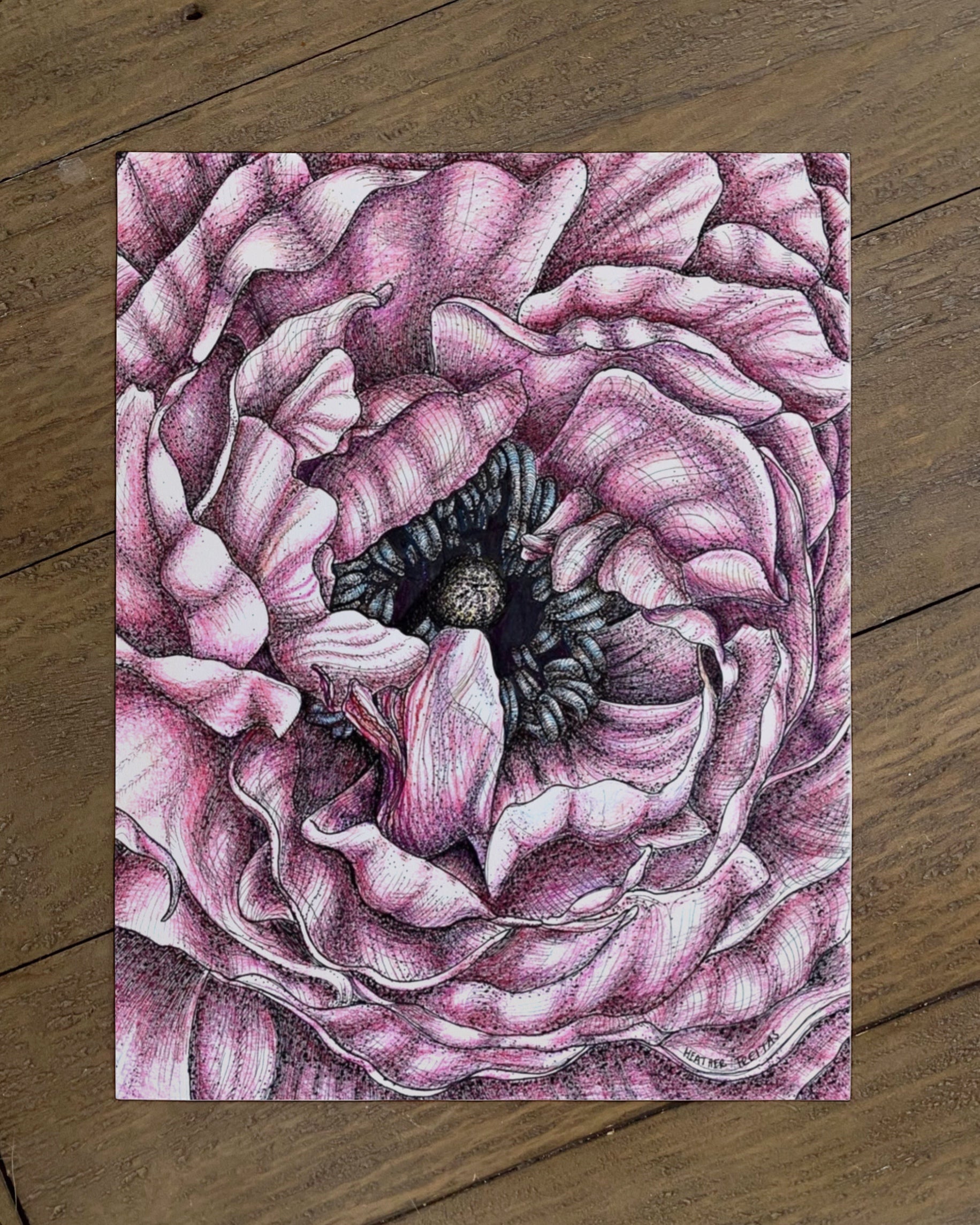 Bloom - Limited Edition Print