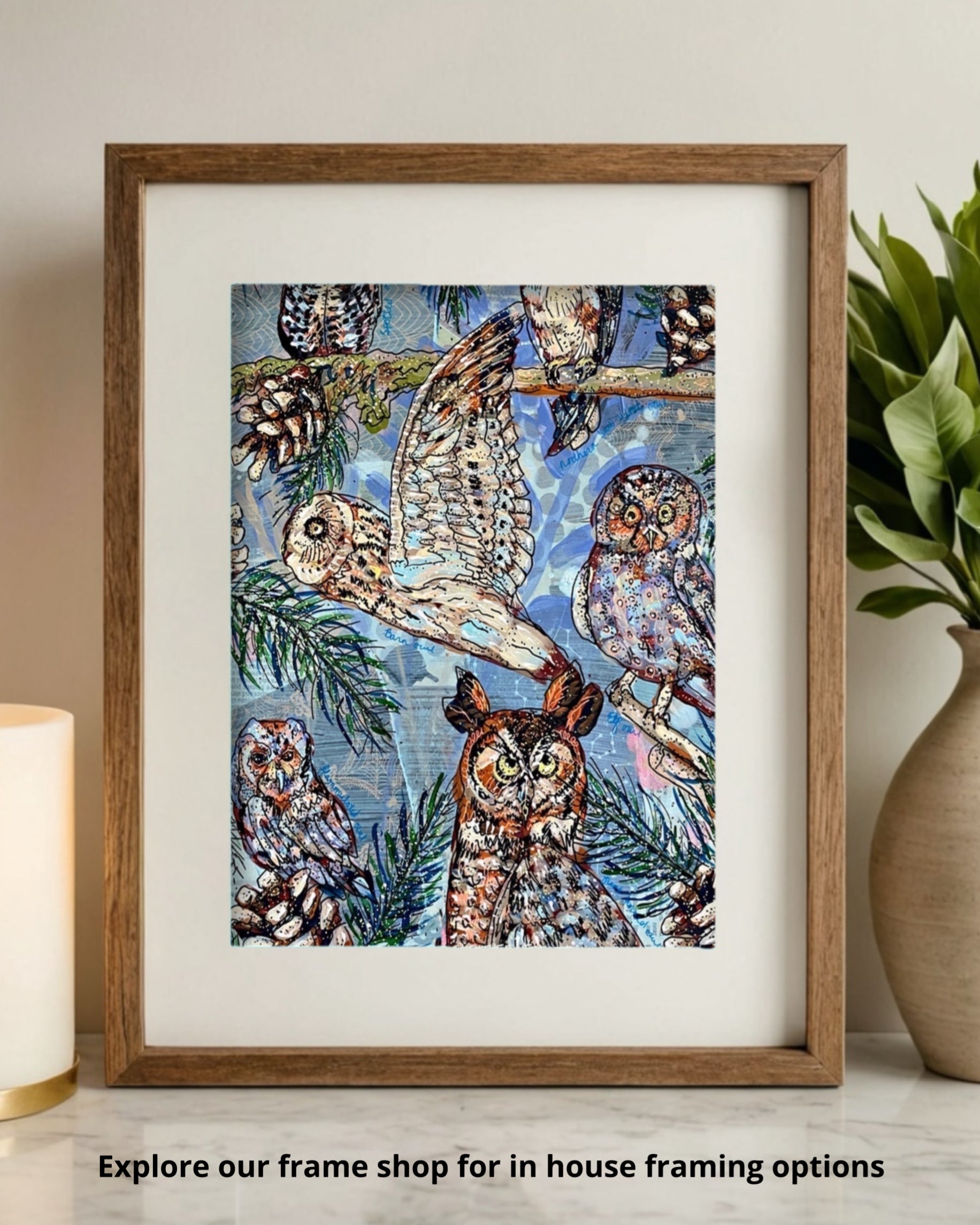 Owl Specimens - Limited Edition Print