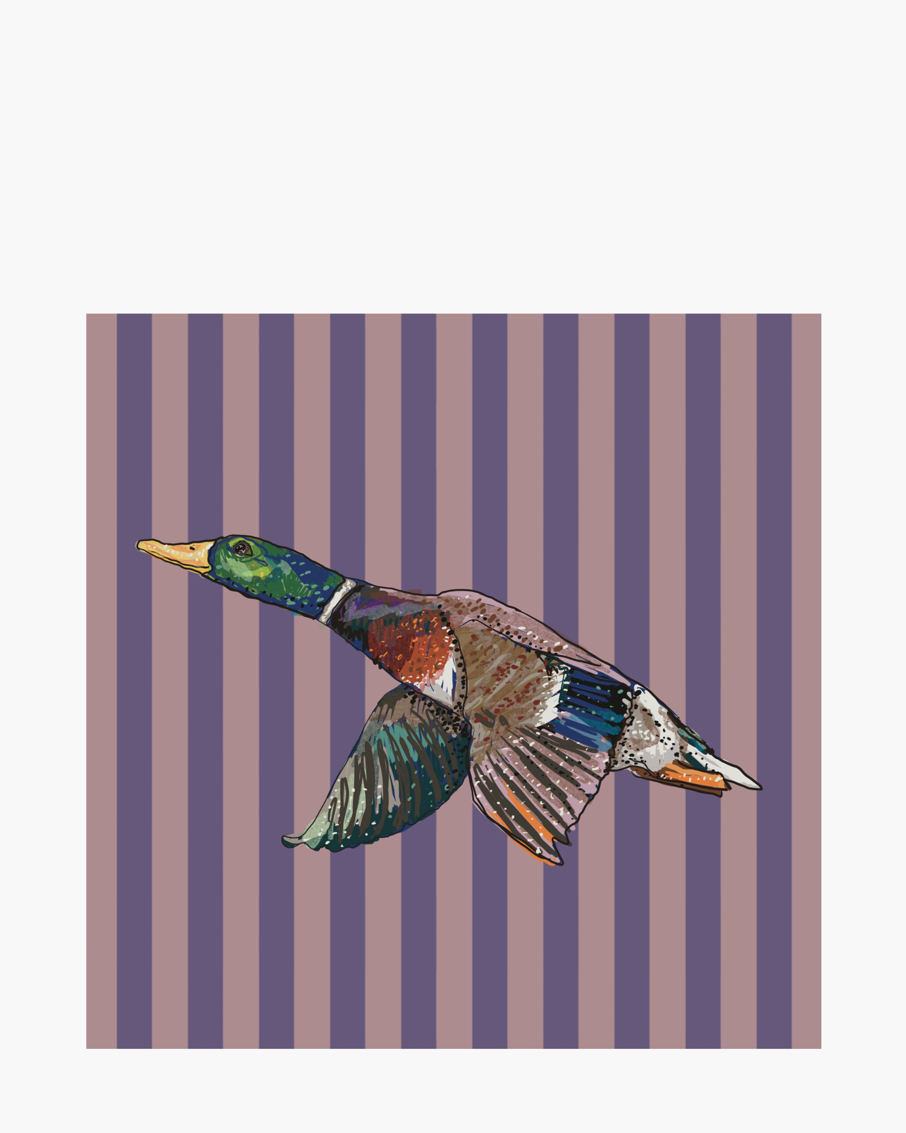 Mallard - Limited Edition Signed Paper Print