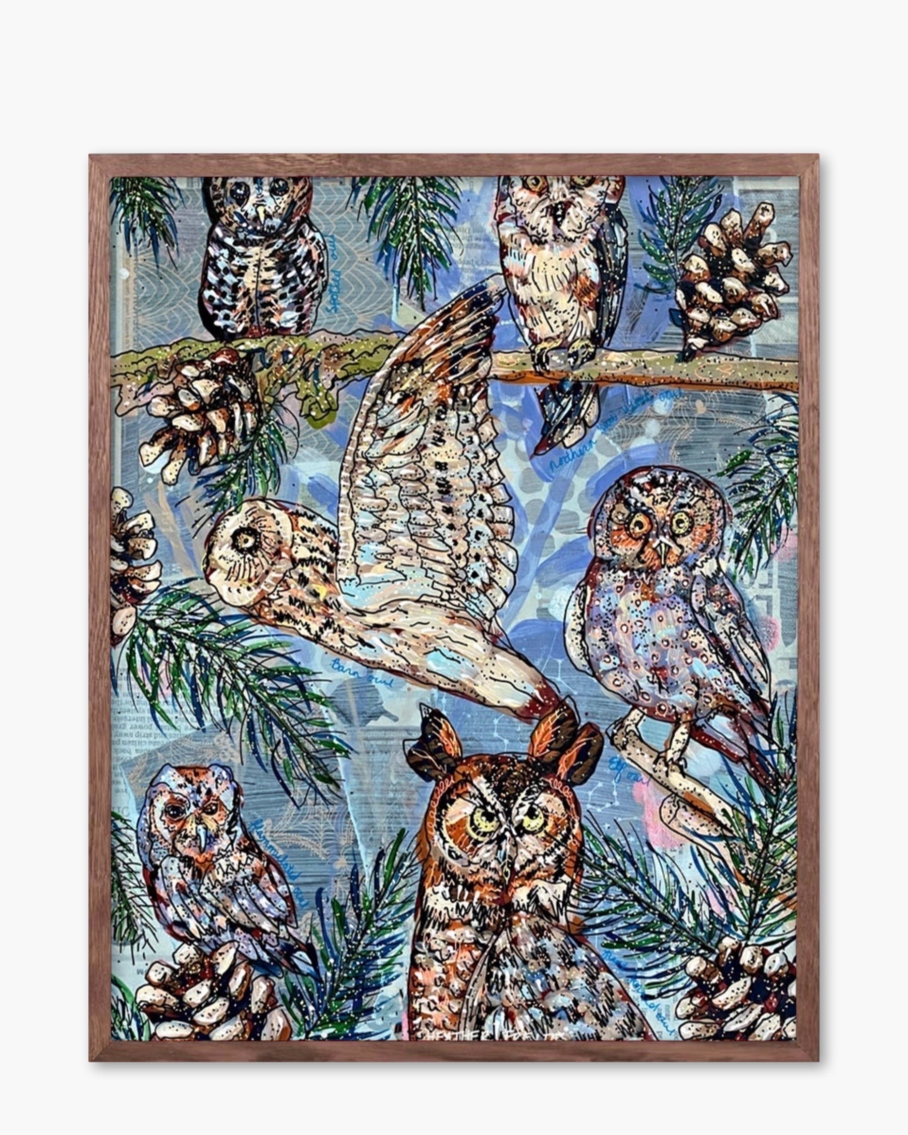 Owl Specimens - Limited Edition Signed Paper Print