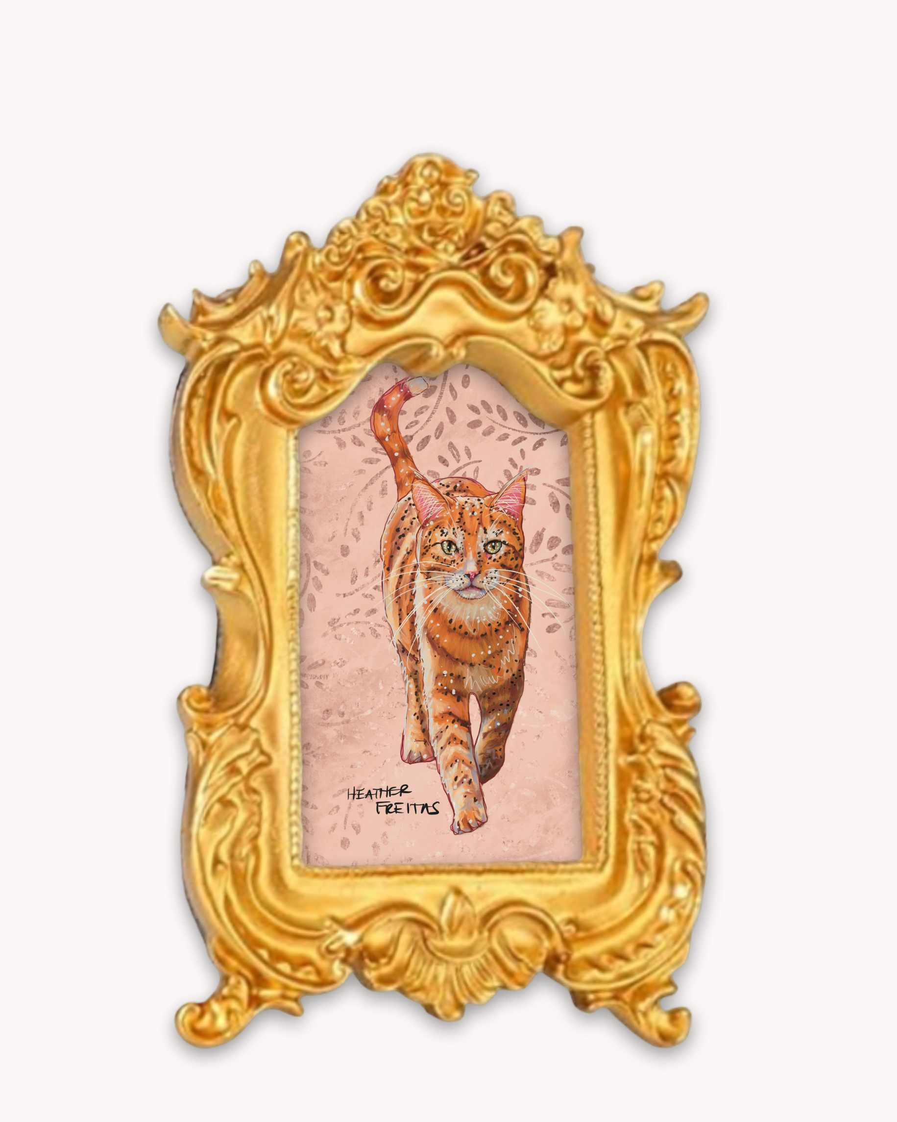 Orange Tabby Framed Magnet