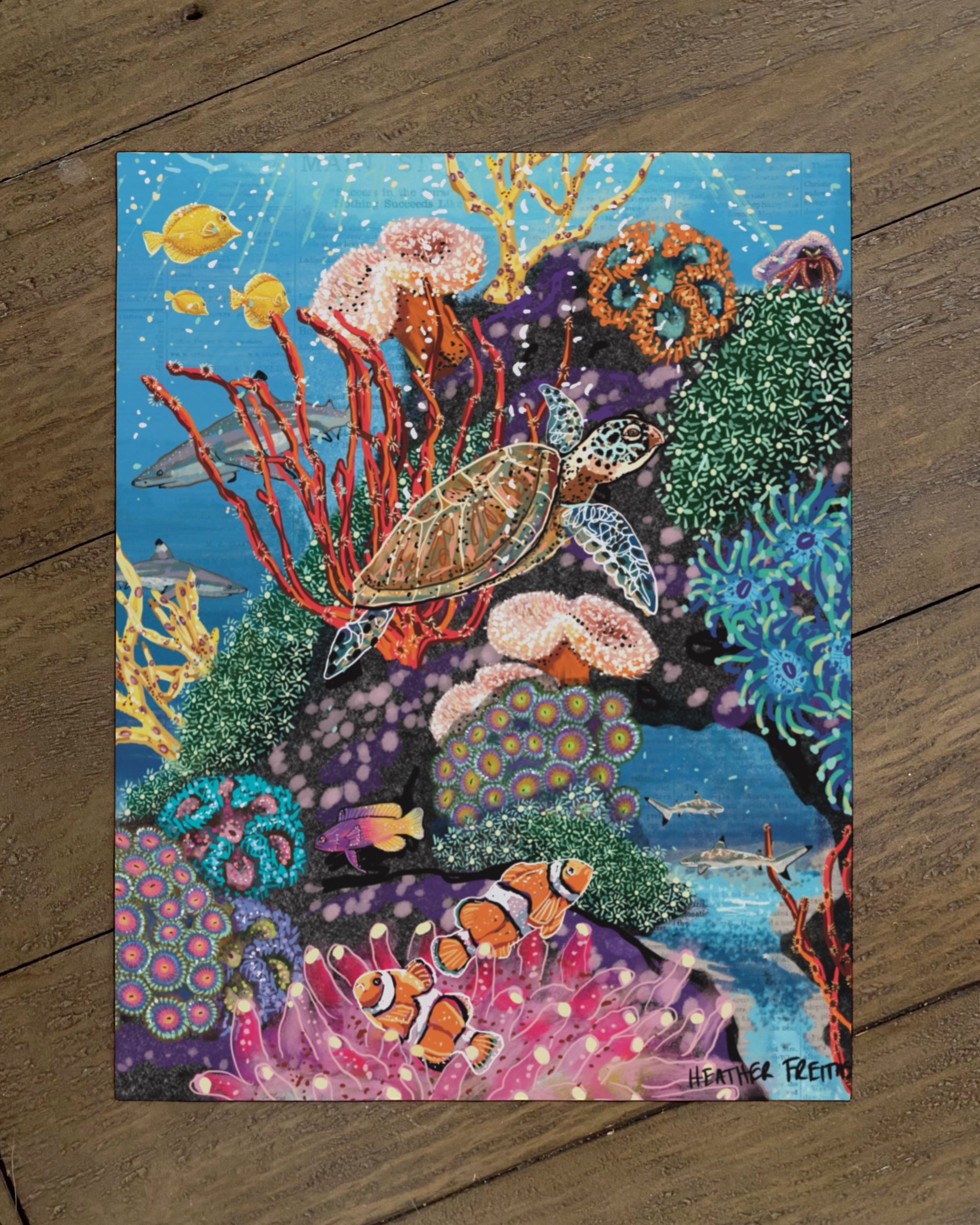 Candy Coral Reef - Limited Edition Print