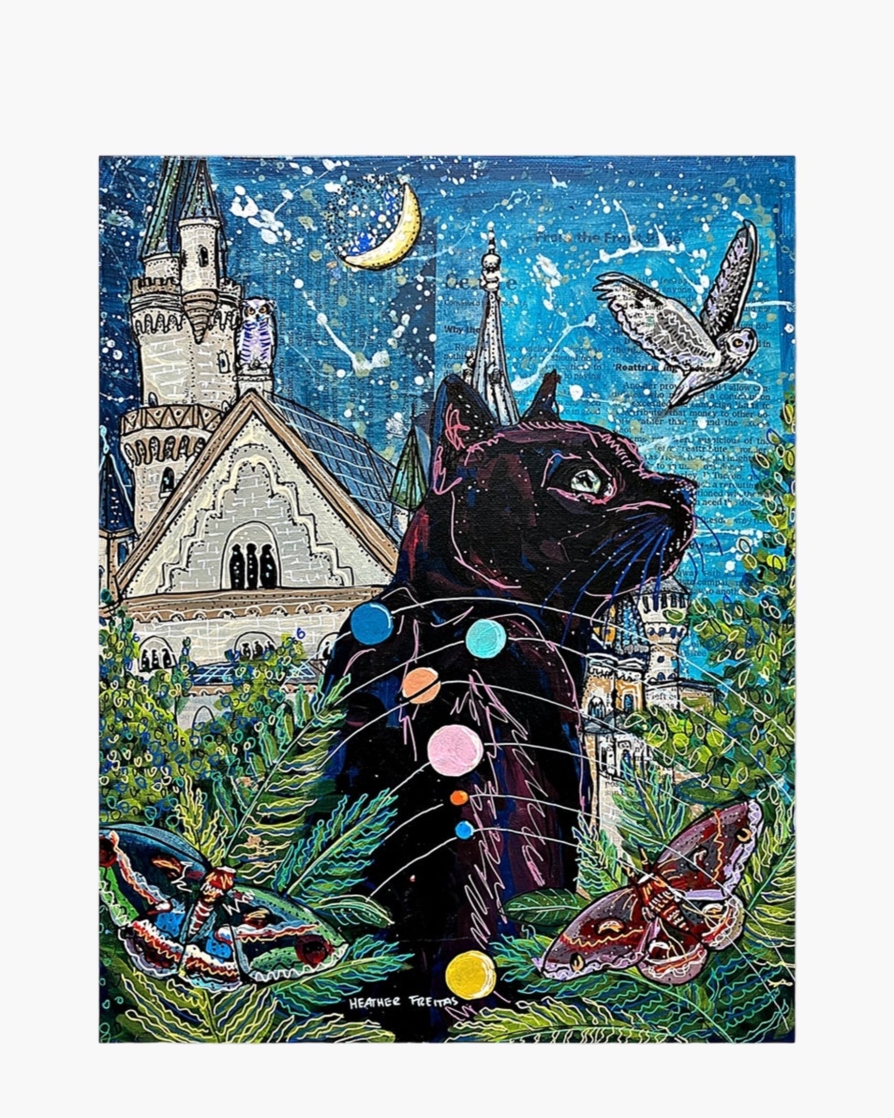 Jupiter Black Cat - Limited Edition Signed Paper Print