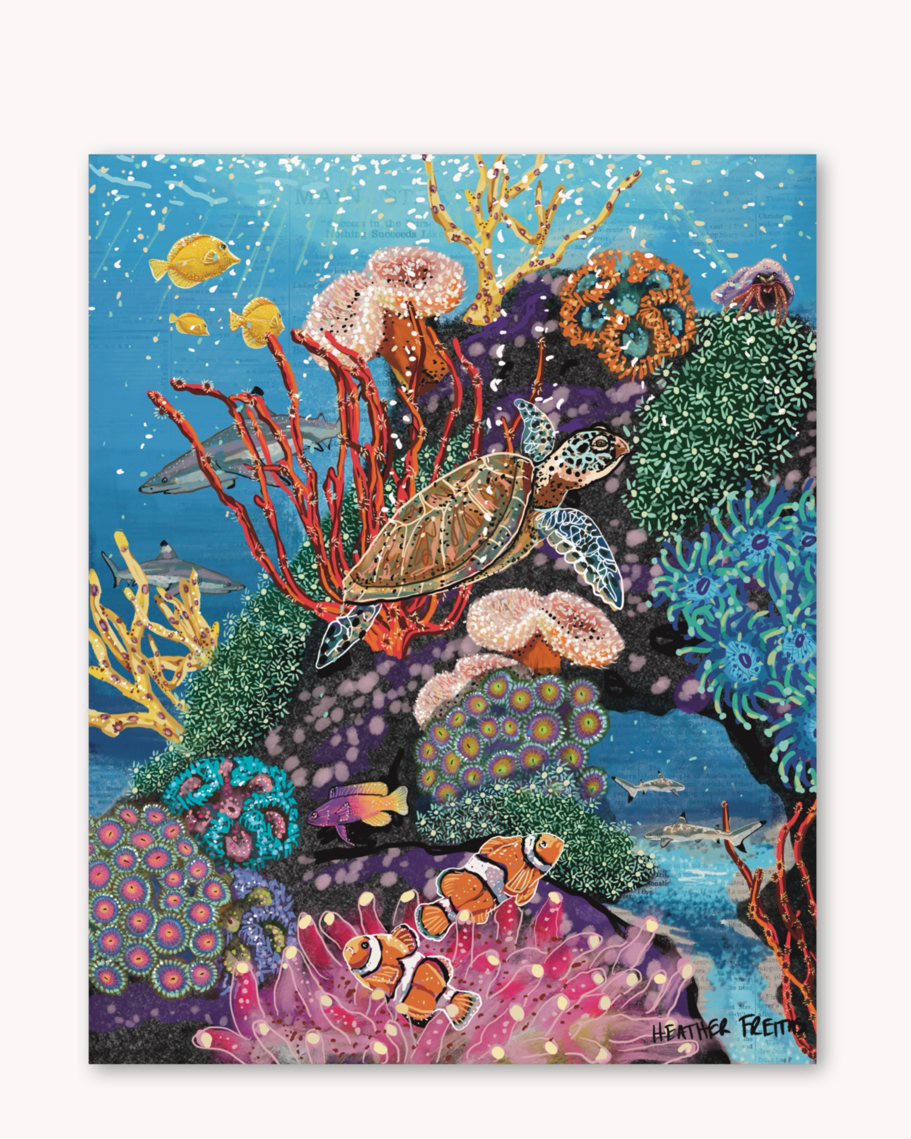 Candy Coral Reef - Limited Edition Print