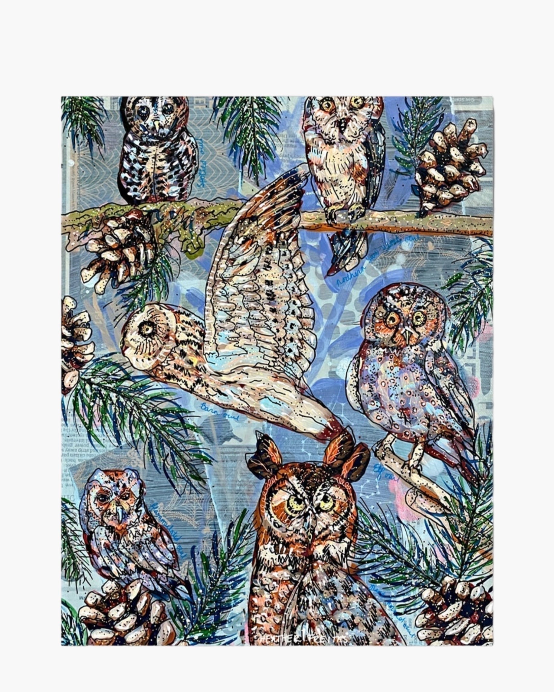 Owl Specimens - Limited Edition Print