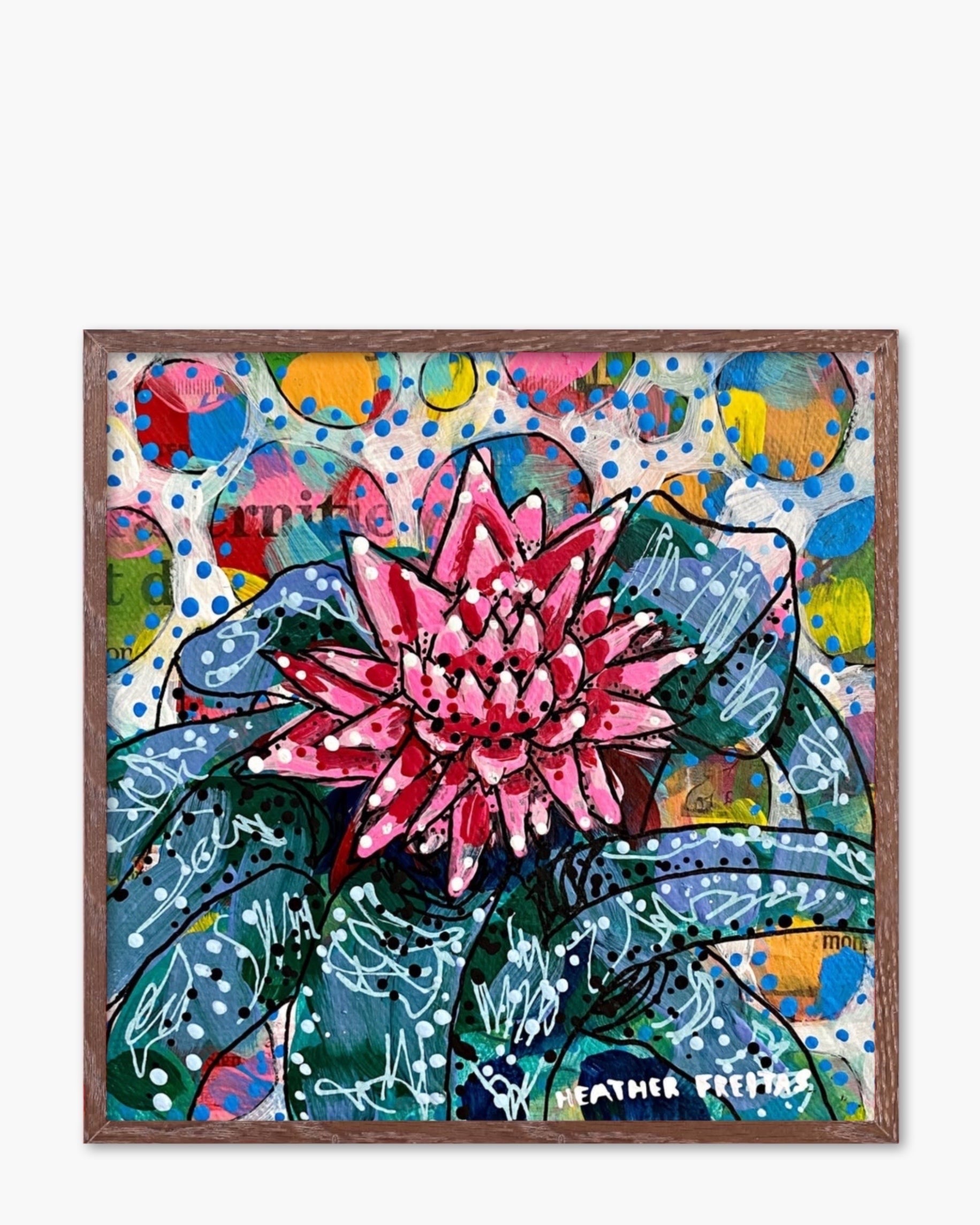 Bromeliad - Limited Edition Signed Paper Print