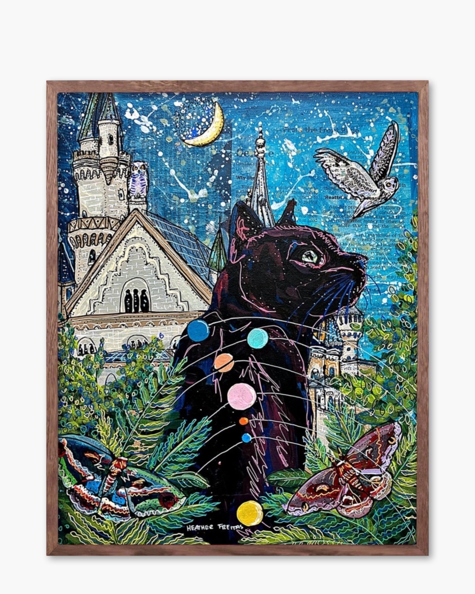 Jupiter Black Cat - Limited Edition Signed Paper Print