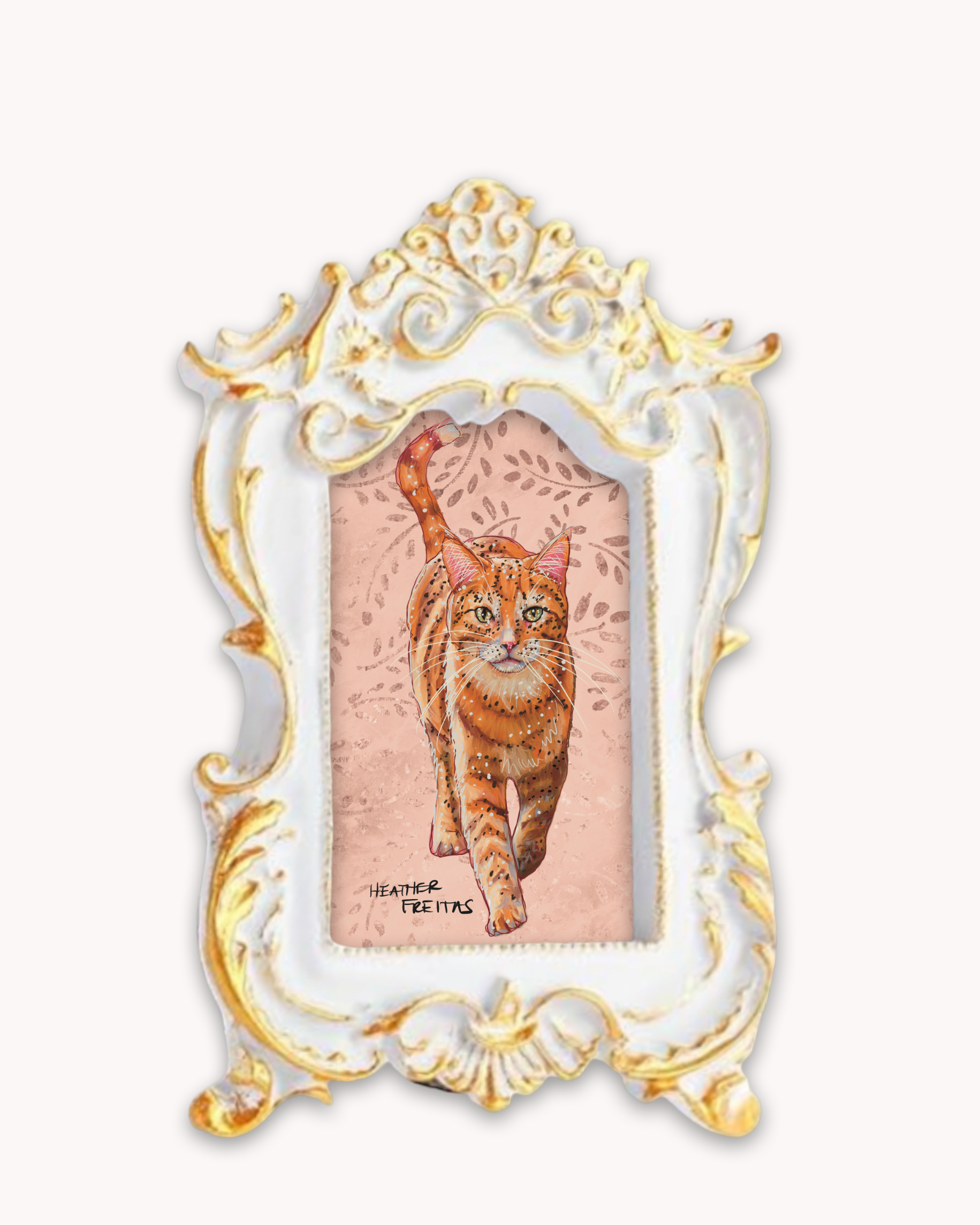 Orange Tabby Framed Magnet