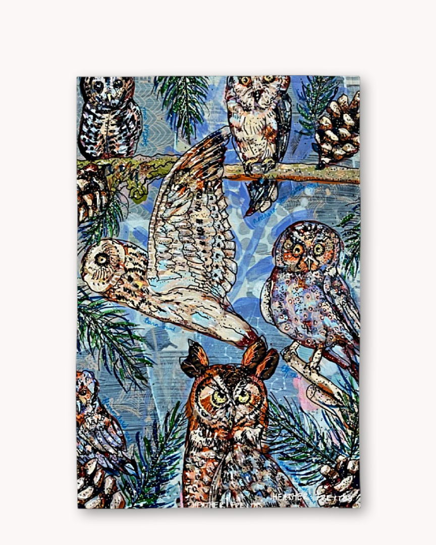 Owl Species Tea Towel