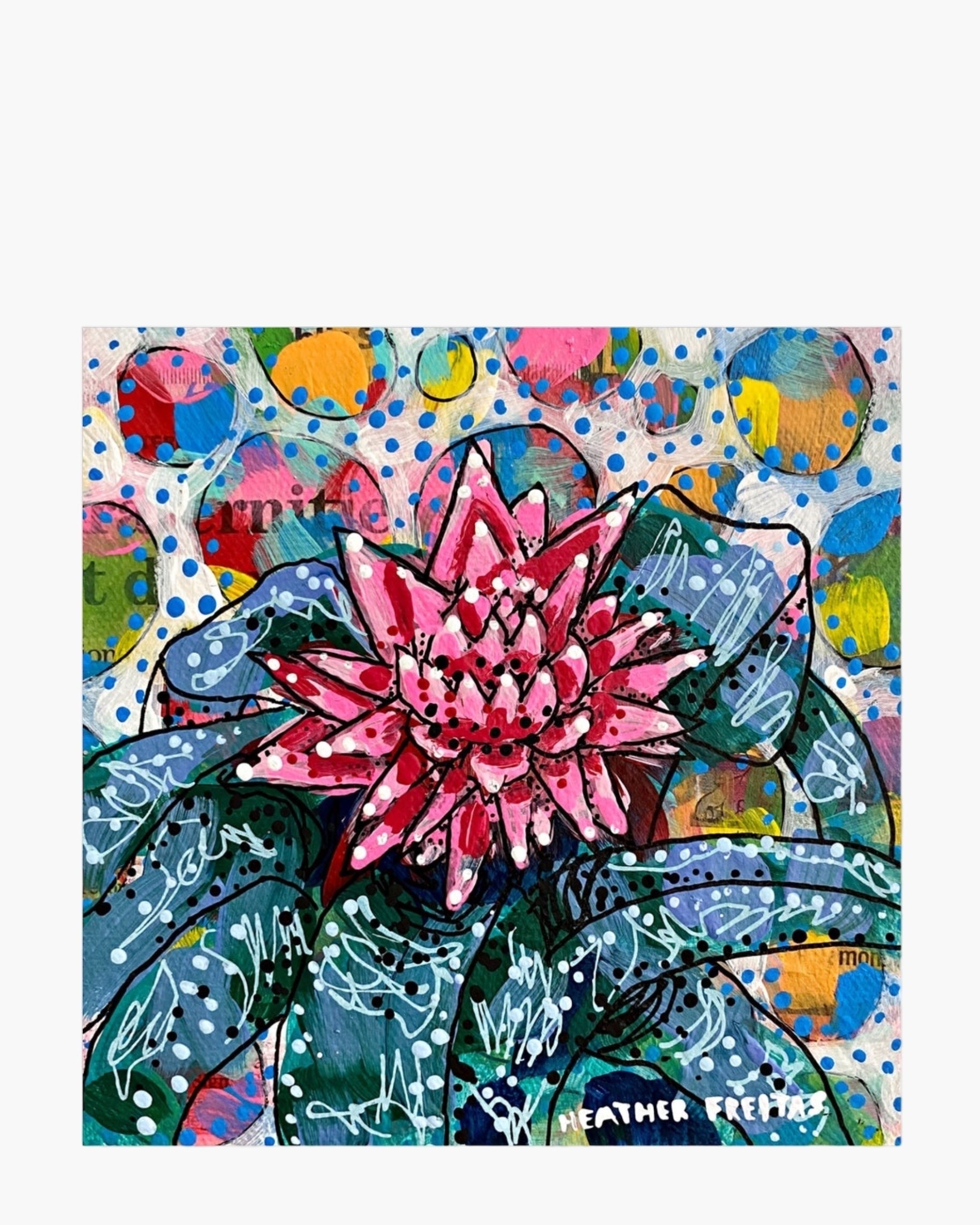 Bromeliad - Limited Edition Signed Paper Print