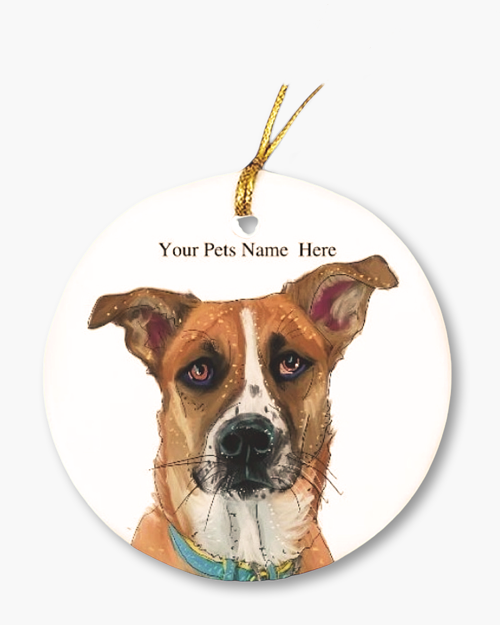 Custom Pet Portrait Ornament - Digitally Hand Painted