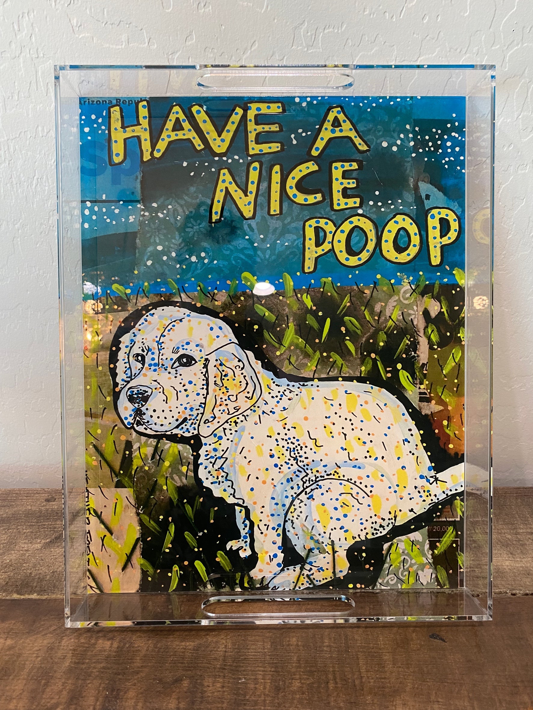 Have A Nice Poop - Limited Edition Acrylic Tray