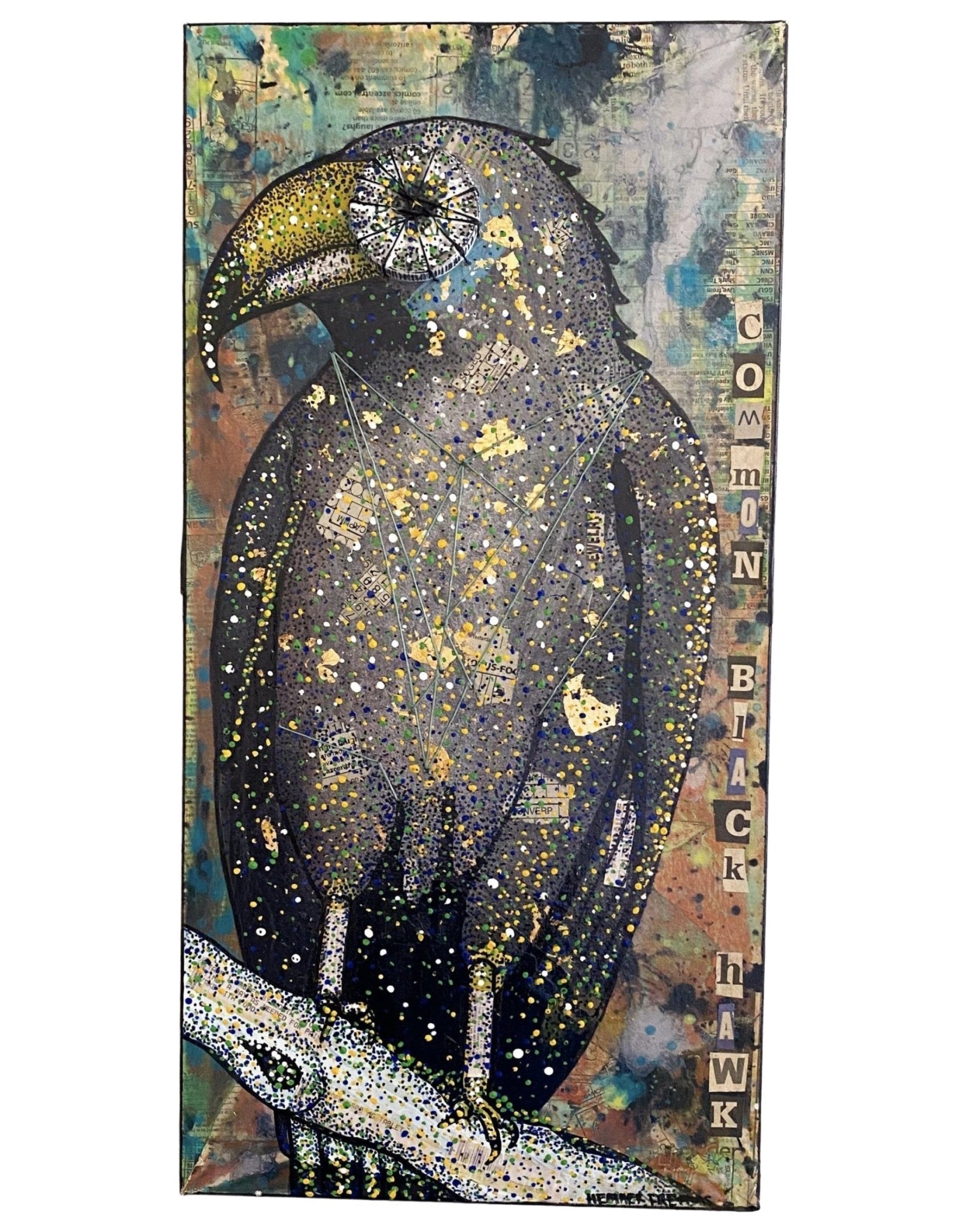 Common Black Hawk - Heather Freitas - fine art home deccor