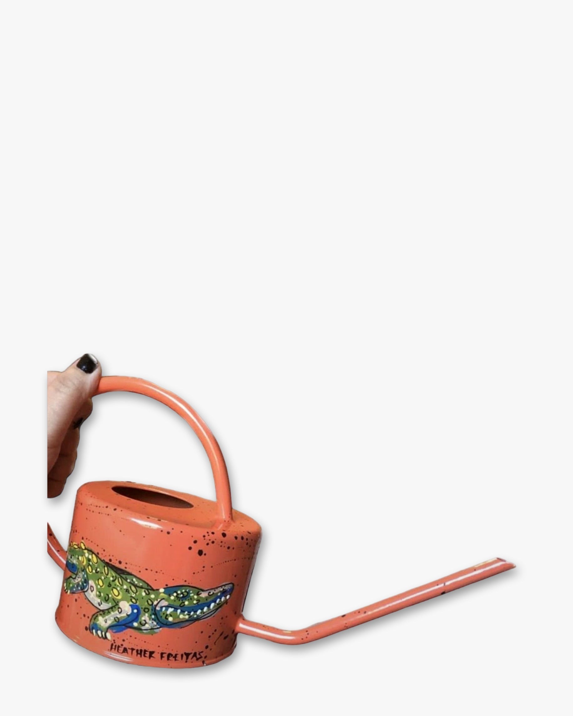 Crocodile Watering Can - Heather Freitas - fine art home deccor