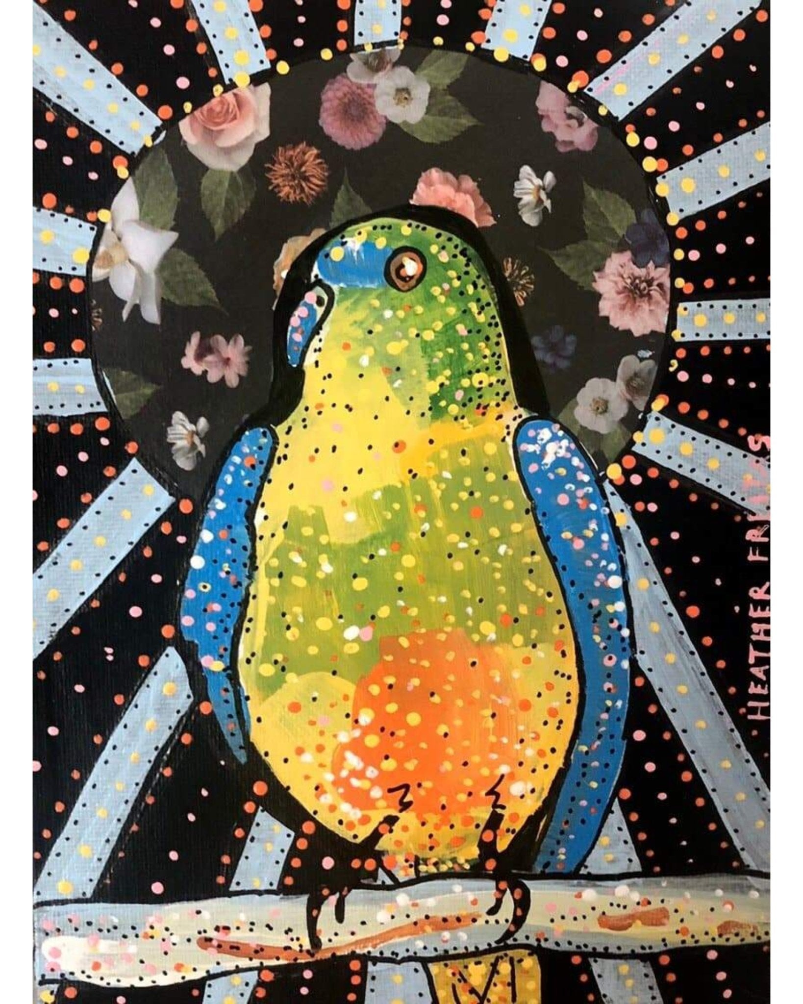 Orange Bellied Parrot - Heather Freitas 