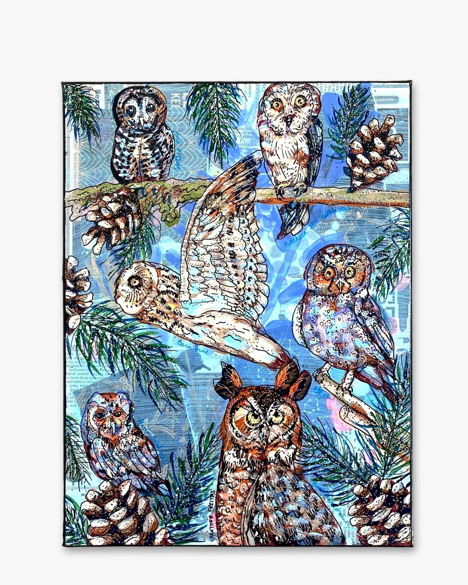 Owl Specimens & Pretty Pines - Heather Freitas 