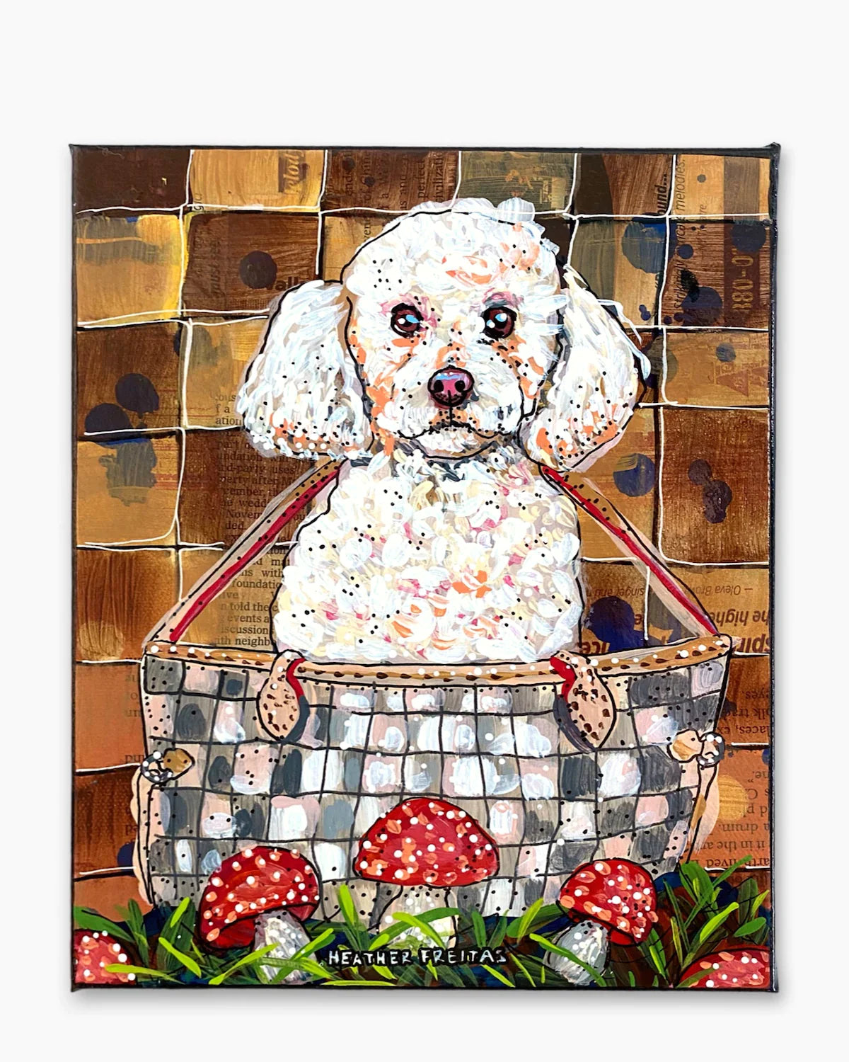 White Toy Poodle - Heather Freitas 